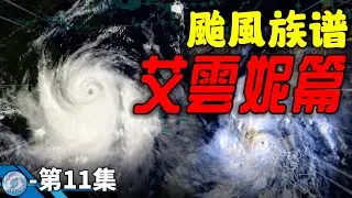 第11集 | 艾雲尼颱風篇 — 呂宋耐切王【颱風族譜】