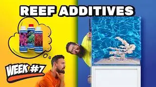 12 Week Reef | Video 7. Dosing Coral Essentials Feat. Shane Danger
