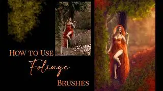 How to Use Foliage Brushes for Photographers and Digital Art in Photoshop