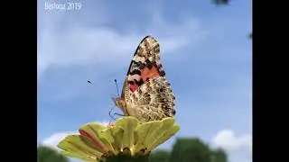 August 2019 in Berloga