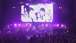 Squeeze - Goodbye Girl (Live at Liverpool Philharmonic, 2019)