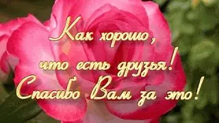 " ДЕНЬ  БЛАГОДАРНОСТИ"  23.03.2016 года