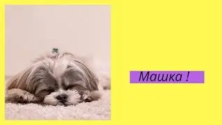 Машка