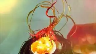 Red Dragon Video