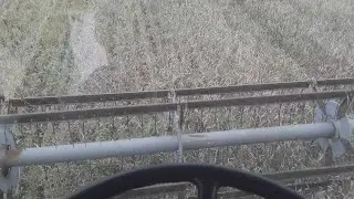 РАБОТА МЕЧТЫ (НЕТ)