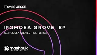 Travis Jesse - Time For Self (Original Mix)