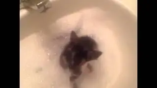 Bedtime Routine