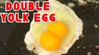 How to Crack a Double Yolk Egg 