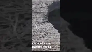 Под Ростовом-на-Дону провплилось поле