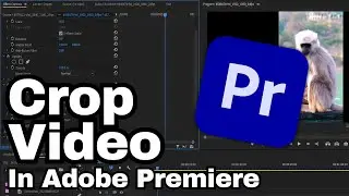 How to Crop Video in Adobe Premiere Pro CC | Adobe Tutorial