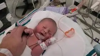 Ben Jr in the NICU