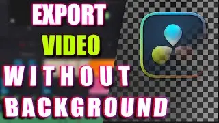 How To Export A Transparent Background Video In Davinci Resolve 18.6