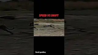 leopard vs cheetah 