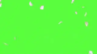 Flower fall green screen free download no copyright
