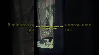 Episódio 04 - Até a criança na favela sabe o que é galo