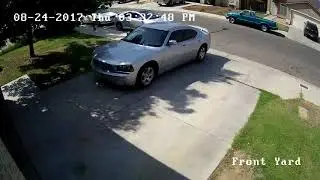 Royal security cameras