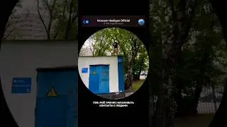 Антисоциофобная суета 517 