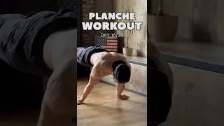 PLANCHE WORKOUT Day 16/30