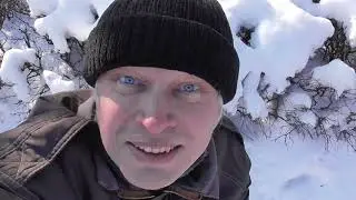 Я в городе, голуби и воробьи