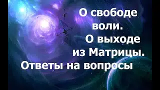 О свободе воли. О выходе из Матрицы. Ответы на вопросы. 21.08.2024