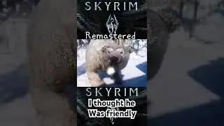 skyrim I thought the bear was friendly #skyrim #Bethesda #skyrimspecialedition #skyrimse