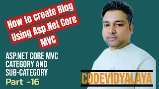 How to create category and subcategory in asp.net core MVC Blog Part -16