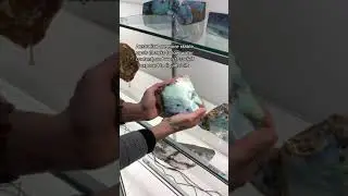 Can You Tell The Difference Tiktok crystal lion gems