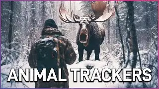The Dangerous Job Of Tracking Wild And Deadly Animals | Nerves of Steel | Wonder