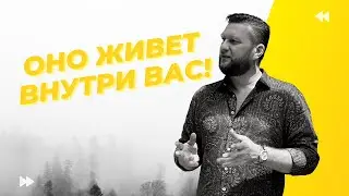 ГРИБНЫЕ ИНСАЙТЫ ТРИП, ГОЛОДАНИЕ, ДЕМОНЫ и ПАРАЗИТЫ  КАК ПРОЖИТЬ БЕЗ ЕДЫ 