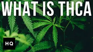 What is THCa? Science Explained