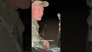 #Алматы #горы