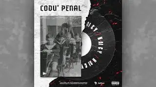 Codu' Penal - N-ai CV (Official Track)
