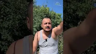 Отец учит сына рыбалке. Артикул на WB: 175318313