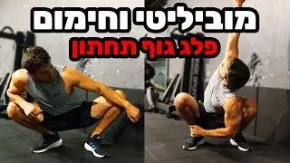 חימום לאימון רגליים - תרגילי מוביליטי (מתיחות / חימום לפני אימון רגליים)
