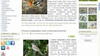 Кнопки для Wordpress.