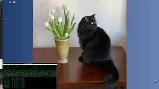 R - Introduction, Installation, Setup (tidyverse approach 2020)
