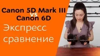 Canon 6D vs Canon 5D Mark III: экспресс-сравнение (eng sub)