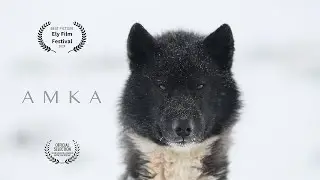 AMKA - One with a Friendly Spirit