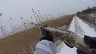 На Фазана в первый снег