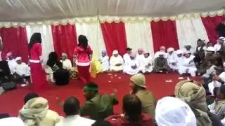 Arab asses best hajib hot