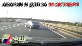 Не забудь рыбок покормить. Аварии и ДТП за 14 октября