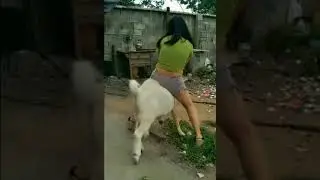 Girl rides her goat #1
