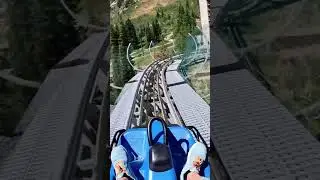 Would you ride this mountain coaster?