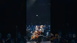 Lion King | Imperial Orchestra 