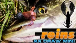 съедобная резина reins AX Craw Mini под водой