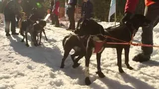 KALEVALA 2014/ 11 марта