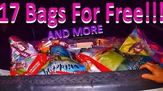 The Best Dog Food Jackpot We Have Ever Found Dumpster Diving