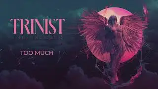 TRINIST - TOO MUCH
