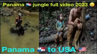 Panama 🇵🇦 jungle 100plus crossing 7 days || panama to USA donkey || India to America donkey