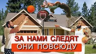 Как живут Американцы. США, Чикаго. USA Chicago